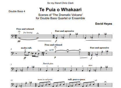 David Heyes: Te Puia o Whakaari 'Scenes of the Dramatic Volcano' for double bass quartet