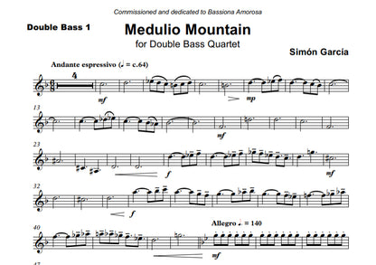 Simón García: Medulio Mountain for double bass quartet