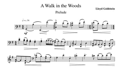 Lloyd Goldstein: A Walk in the Woods for unaccompanied double bass