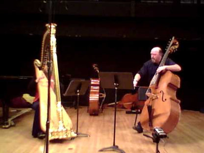 Dave Anderson: Dance Suite for double bass and harp